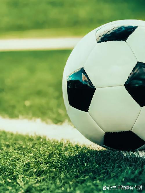 体育媒体内容创作者使用数据